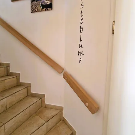 Wiesenstr_78 _pusteblume_whg_4 Apartament *